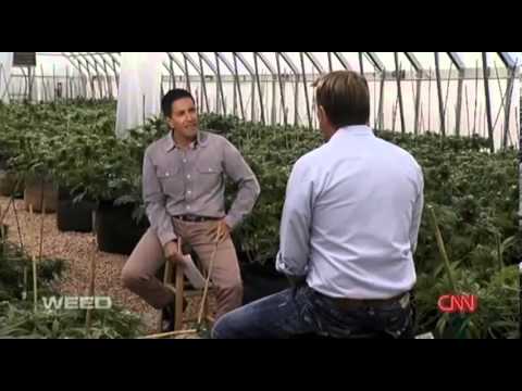 CNN documentary on Charlotte's Web, medical marijuana treating seizure disorders